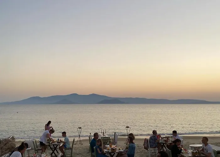 Enosis - Kalypso Flat *