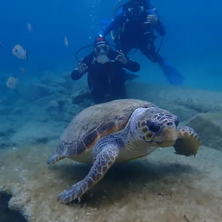 Διαμέρισμα Enosis - Kalypso Flat *