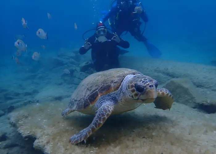 Διαμέρισμα Enosis - Kalypso Flat *