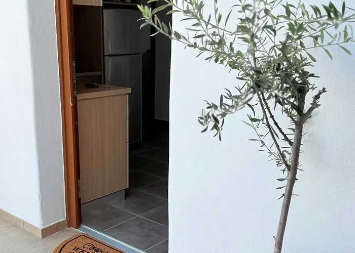 Enosis - Kalypso Flat