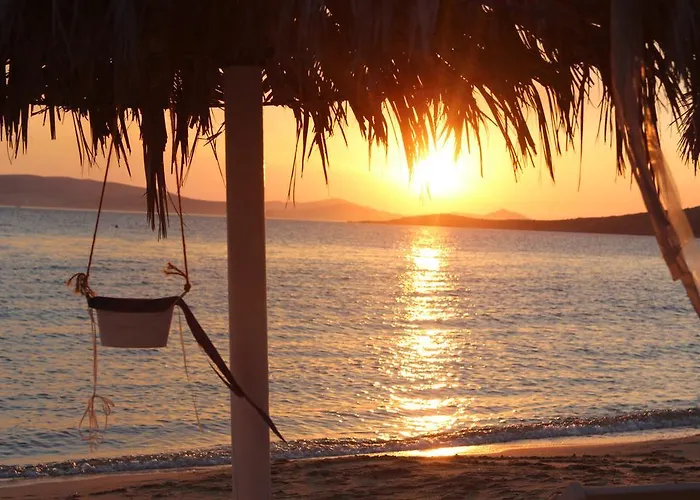 Enosis - Kalypso Flat